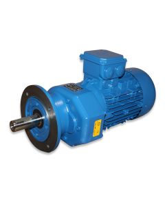 Helical geared motor 3.0kW (EE03014)