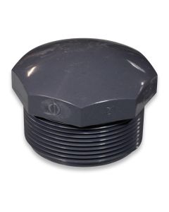 Thread plug 2"