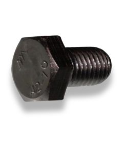 Hexagon head screw M 12x 20 SST DIN 933