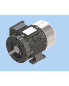 MOTOR,1/3HP,3PH,208-230/460,60HZ,VFD,F/BRDR CONVEYOR