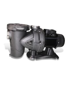 Centrifug. pump Euroswim 100T 400V 50Hz 3Ph IE3