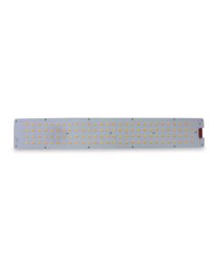 Board LED cw/ww Zeus LED