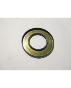 Shaft Seal 100x55x10As