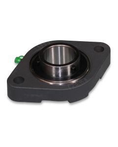 Flange bearing cast iron dia40 2-hole