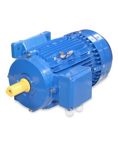 Electric motor 3.00kW 230/400V 50/60Hz 1500/1800r B3