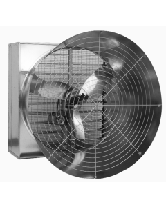 Wall fan EMC50