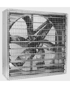 Wall fan EM50