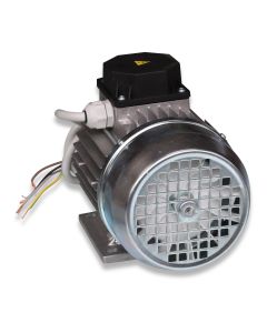Electric motor 0.50HP 230/400V 50/60Hz 3Ph OneSpeed f/EM36