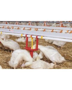 Drinker cpl with cup drinker for ducks 3000-05 Pekino